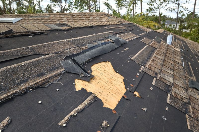 Shingle Damage Repair