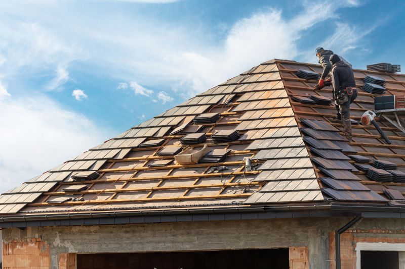 Professional Roofing Experts